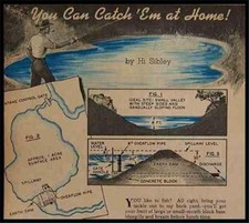 Building fish ponds for sale  Diamond Point