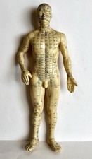 Human acupuncture model d'occasion  Expédié en Belgium