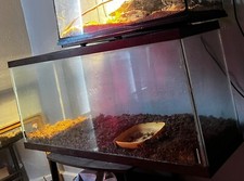Brown trim glass for sale  Joplin