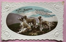 Vintage dog postcard for sale  LOUTH