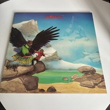 Budgie never turn for sale  OLDHAM