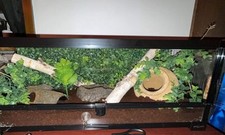 Gallon aquarium tank for sale  Vicksburg