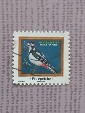 Oiseaux pic épeiche d'occasion  Auray