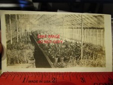 Rare old picture for sale  Mansfield