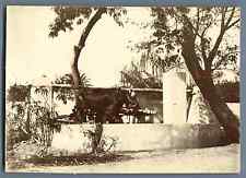 Ancienne meule grains d'occasion  Pagny-sur-Moselle