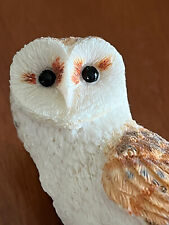 Barn owl andy for sale  MACCLESFIELD