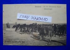 Cartolina grosseto regio usato  Italia