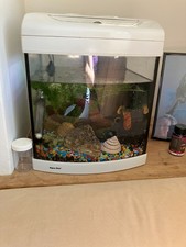 large corner aquarium for sale large corner aquarium for sale NOTTINGHAM