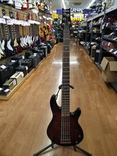 Baixo elétrico SCHECTER RAIDEN SPECIAL5, usado comprar usado  Enviando para Brazil