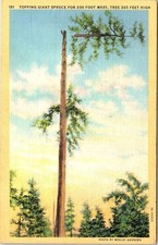 Logging logger topping for sale  Tempe