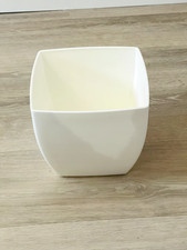 Artevasi siena plant for sale  UK