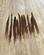 10x natural pheasant for sale  WOKING
