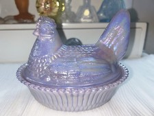 Rare boyd lavender for sale  San Antonio