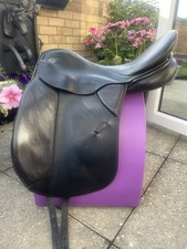 Kieffer wien dressage for sale Kieffer wien dressage for sale  WARE