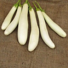 12xtg aubergine white gebraucht kaufen  Dettingen an der Erms