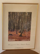 Affiche ancienne loterie d'occasion  Lay-Saint-Christophe