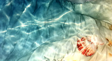 Ocean themed water for sale  Perryville