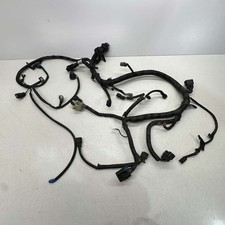Main harness 2010 for sale  Baraboo