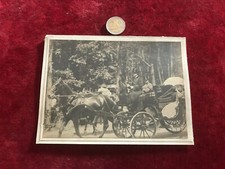 Photographie ancienne attelage d'occasion Photographie ancienne attelage d'occasion  Saint-Jean-en-Royans