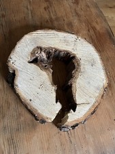 Baumscheibe hohl tunnel gebraucht kaufen  Neustrelitz