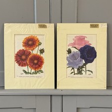 Vintage prints floral for sale Vintage prints floral for sale  CRANLEIGH