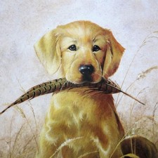 Lynn kaatz feathers for sale  Phoenix