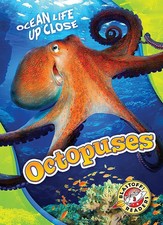 Octopuses for sale  Denver