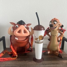 Disney animal kingdom for sale  Orlando