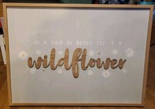 Field roses wildflower for sale  Terre Haute