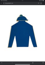 Horse racing badge for sale  BRISTOL