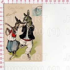 I7800 illustratore asini usato  Como