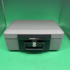 Sentry safe portable for sale  Deltona