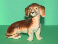 Junger dackel dachshund gebraucht kaufen  Puchheim