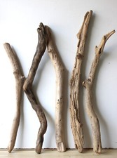 Treibholz schwemmholz driftwoo gebraucht kaufen  Halblech