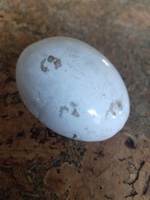 Vintage antique ceramic for sale  NORWICH