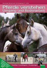 Pferde verstehen umgang gebraucht kaufen  Berlin