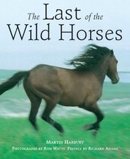Last wild horses for sale  UK