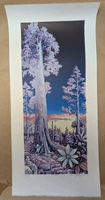 Masthay sequoia moonlight for sale  Dayton