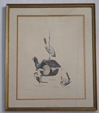 ray harm for sale  Rochester