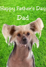 Biglietto auguri cane usato Biglietto auguri cane usato  Spedire a Italy