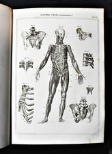 Stampa antica nomenclatura usato  Monterosso Almo