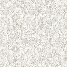 Harlequin mirador nirmala for sale  NOTTINGHAM