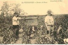 Reproduction cpa agriculture d'occasion  Fruges