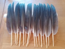 Brown goose wing for sale  ALFORD