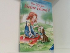 Lebt kleine hund gebraucht kaufen  Berlin