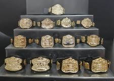 Wwe cinture campioni usato  Palermo