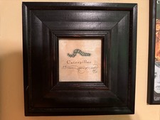 Set framed insect for sale  Woodland