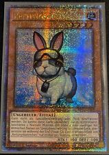 Yugioh rettungskaninchen ra02 gebraucht kaufen  Leingarten