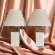 Coppia lampade fatte usato  Verdellino