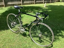 bike raleigh xl road for sale  Emmaus